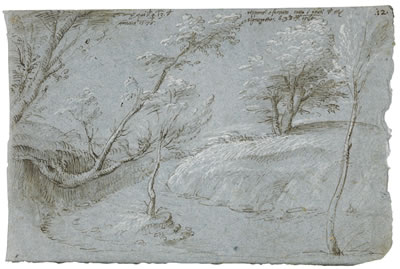 Gherardo Cibo : A ROCKY LANDSCAPE WITH TREES