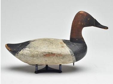 Jim Currier : High head canvasback