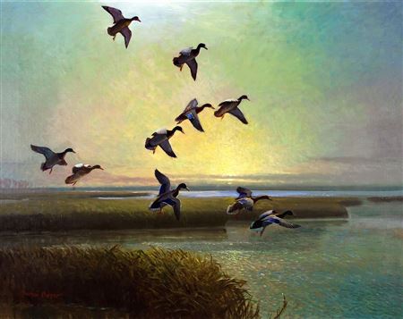 Reveau Mott Bassett : Mallards Landing