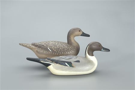 Richard Janson : Pintail Pair