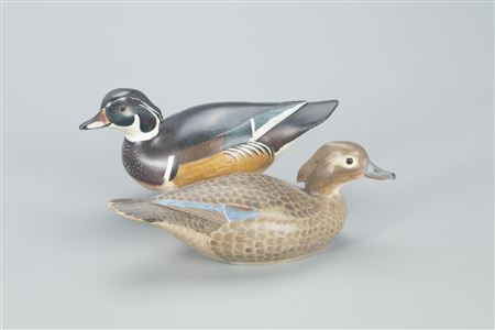 Lloyd Johnson : Outstanding Wood Duck Pair