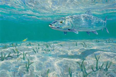 Mike Stidham : A Lone Single - Bonefish on a Fly