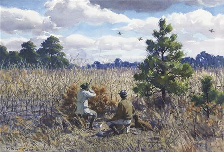 Aiden Lassell Ripley : Dove Shooting