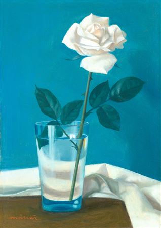 Istvan Macsai : White Rose, 1970s