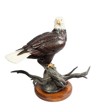 Connie Tveten : American Bald Eagle