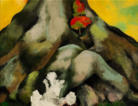 Ida Ten Eyck O'Keeffe : Roots