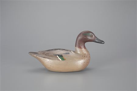 Richard Janson : Exceedingly Rare Green-Winged Teal