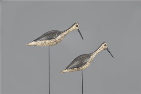 Charles W Thomas : Willet Pair