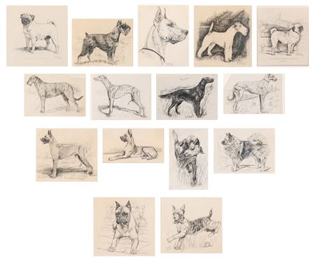 Gladys Emerson Cook : Dog Portraits, circa 1945: 15