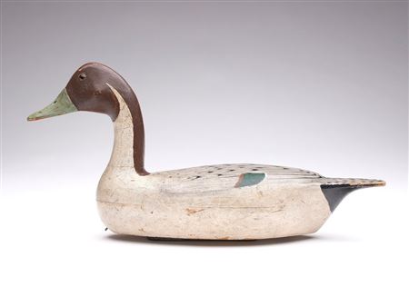 Charles Walker : Pintail drake