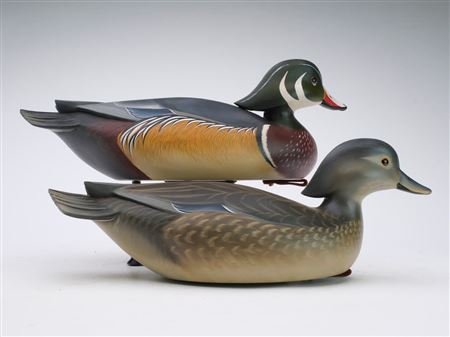 George Strunk : Pair of wood ducks