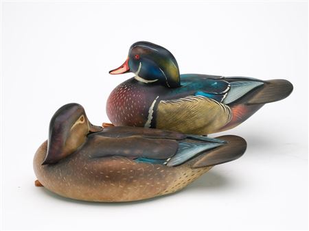 Sean Sutton : Pair of wood ducks