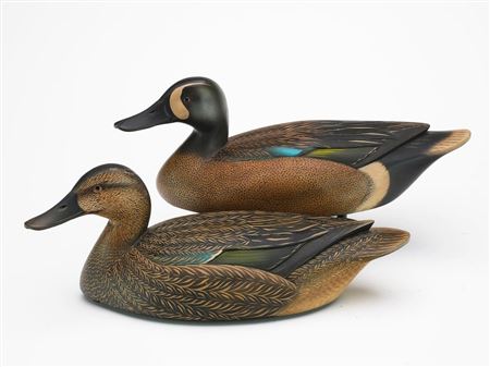 Sean Sutton : Pair of bluewing teal