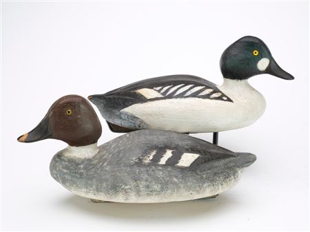 Miles David Pirnie : Pair of Goldeneye