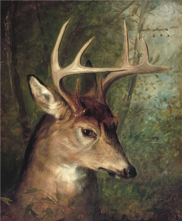 art for sale: Edwin Henry Landseer