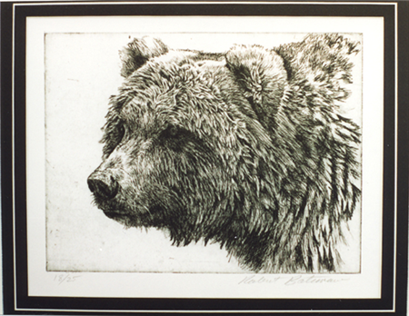 art for sale: Robert Bateman