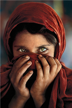 art for sale: Steve McCurry