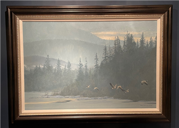 art for sale: Robert Bateman