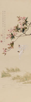 Guang Zhang : BEGONIA AND SWALLOWS