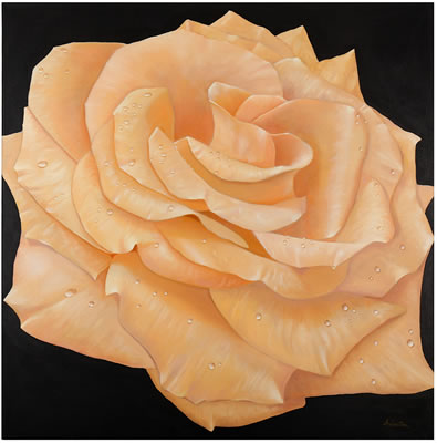 Alan Weston : Rose II