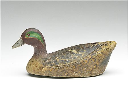 Mike Frady : Greenwing teal drake