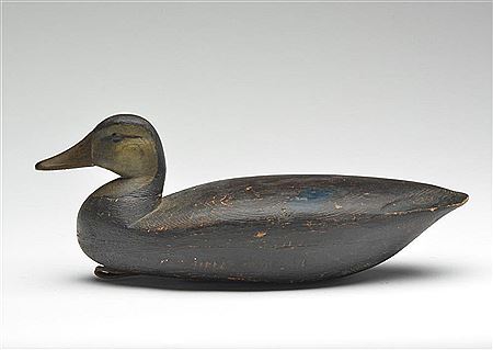 Jess Birdsall : Black duck