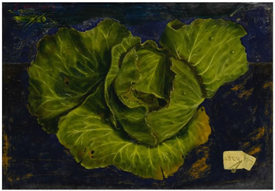 Sondra Lipton : CABBAGE STILL LIFE