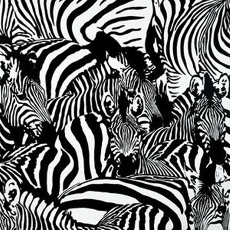 Pavel Hayek : Zebras