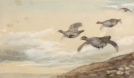 Leon Danchin : Partridge in flight