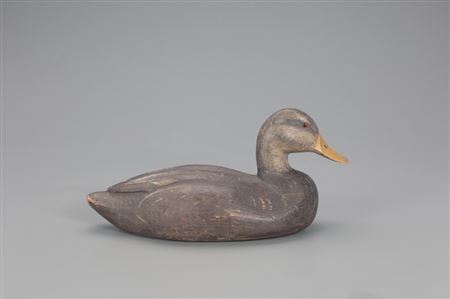 Miles David Pirnie : Black Duck Decoy