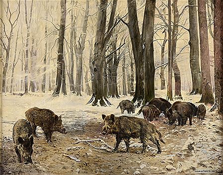 Ludwig Fromme : Wild boars in the winter forest