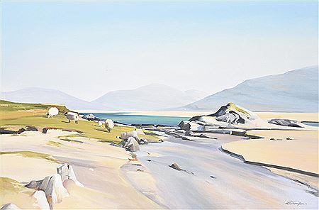 Alastair W Thomson : Sheep on the Shore, Luskentyre, Isle of Harris