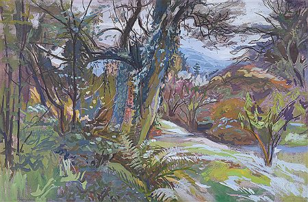 Phyllis Bray : The Artist's Garden, Wye Valley