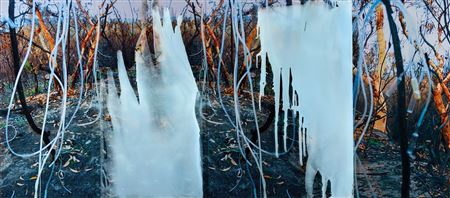 Janet Lawrence : Landscape And Residues Series 2007