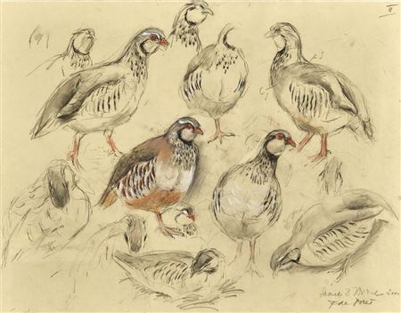 Francois Poret : Red partridges