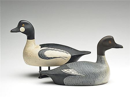 Roy Conklin : Pair of goldeneye