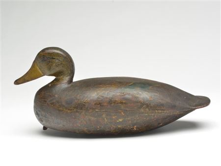 Charles Jester : Black duck