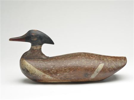 Amos G Wallace : Oversize merganser drake