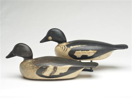 Clark Madera : Rare rigmate pair of goldeneye