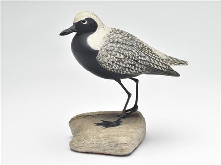 Al Glassford : Full bodied decorative black bellied plover