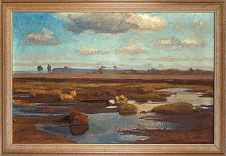 Gerhard Bakenhus : Summer moorland landscape