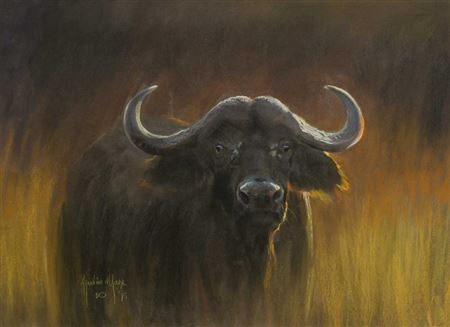 Ignatius Marx : Buffalo