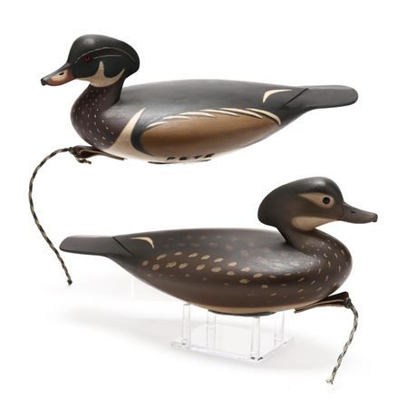 Pete Peterson : Pair of Wood Ducks