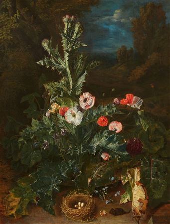 Pieter Snyers : Still Life with Thistle and Nest