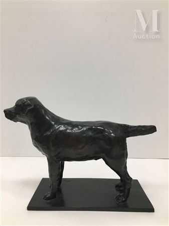 Catherine Boisseau : Standing Labrador