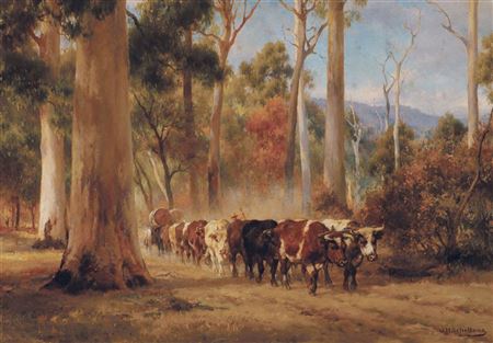 Jan Hendrik Scheltema : Bullock Team in the Forest of Canungra, Queensland