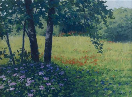 Brett McEntagart : Hydrangeas and Monbratia, West Cork, 1999