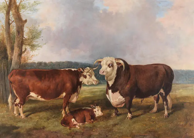 John Arnold Alfred Wheeler : Pedigree Herefordshire cattle - a bull, cow and calf