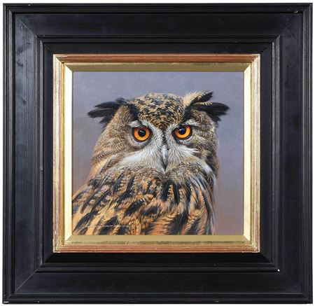 David Ord Kerr : Eurasian Eagle Owl