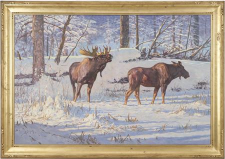 Dwayne Harty : Wildlife Painting